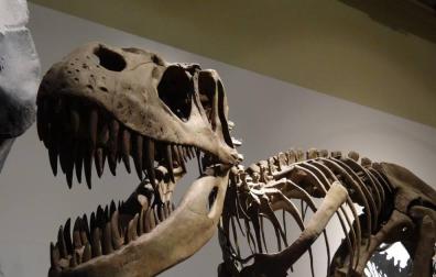 Del elefante al dinosaurio; tiempos heroicos para la ciencia