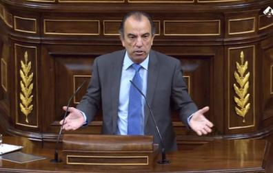 Carlos García Adanero, durante su discurso en el Congreso de los Diputados.