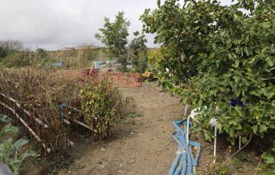 Un informe insta a eliminar las 14 huertas 'okupas' de Echavacoiz