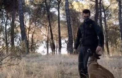 La Guardia Civil se estrena en TikTok para llegar a los más jóvenes