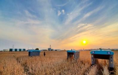 Imagen de los robots agricultores de Google