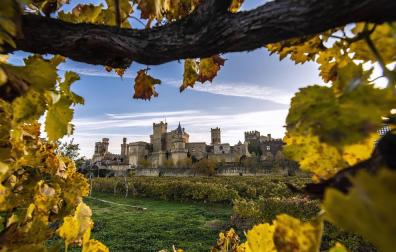 Fotografía ganadora Patrimonio 2020 'Olite, un pueblo para enmarcar'