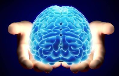 Un cerebro humano.