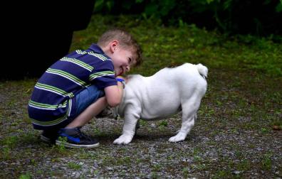 Tener perro en casa ayuda al desarrollo socioemocional en los niños pequeños