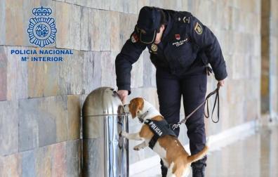 Detenido en la estación de autobuses de Pamplona por un delito de tráfico de drogas