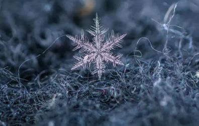 Un copo de nieve.