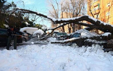 Madrid calcula que Filomena causó daños por valor de más de 1.398 millones