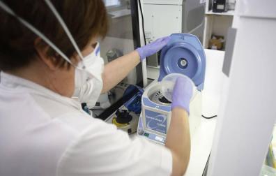 Navarra registra una presencia creciente de la variante inglesa con 68 nuevos casos