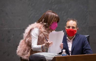 El Parlamento pide al Gobierno que informe mensualmente sobre los proyectos Next Generation