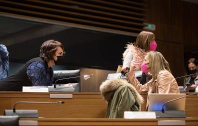El Parlamento pide que prime la cercanía del colegio al lugar de residencia