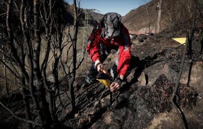 Abiertas todas las líneas de investigación en el origen del incendio de Bera