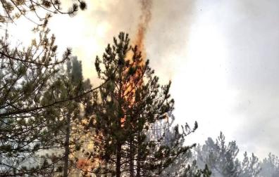 Importante incendio en un pinar de Javerri moviliza a varios efectivos de bomberos y medios aéreos