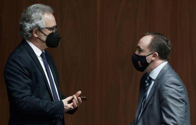 El Parlamento rechaza instar al Gobierno a personarse en la causa contra Ayerdi