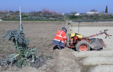 Un herido grave al quedar atrapado por su mula mecánica en Caparroso