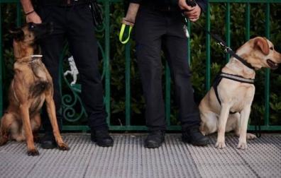 La Policía Municipal de Pamplona realiza ocho actas de aprehensión de drogas