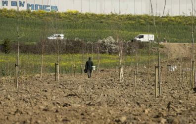 Comienza la reforestación de las huertas ilegales de Echavacoiz