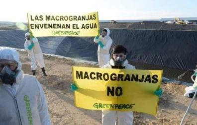 Greenpeace devuelve mil litros de agua contaminada a la macroganja de Caparroso