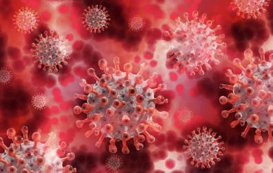 Los resfriados por otros coronavirus podrían generar cierta protección ante el Covid-19