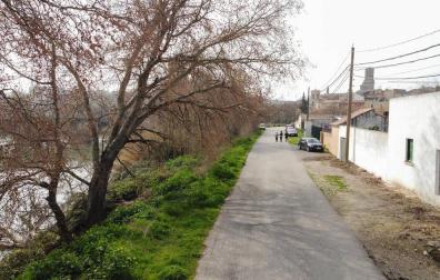 Camino de acceso a la Mejana en Tudela.