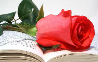 En Sant Jordi, el patrón de Cataluña desde el siglo XV y, según la fiesta popular, el hombre debe regalarle una rosa a la mujer y esta un libro a su pareja.