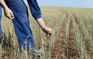 312 perceptores de ayudas PAC en Navarra ingresan más de 50.000 euros