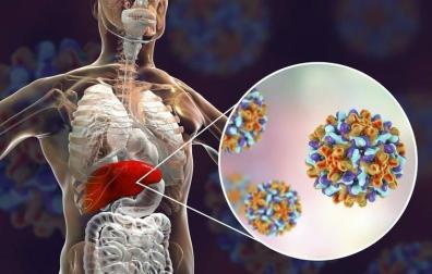Así se previene y se trata la hepatitis B