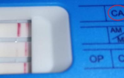 Denunciado por conducir sin luces y positivo en drogas en caparroso