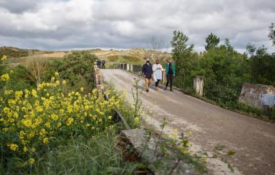 Sale a licitación las obras del puente medieval de Andelos por 364.000 euros
