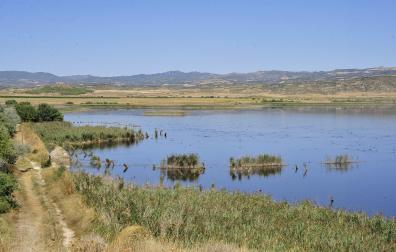 Vista general de la Reserva Natural de la laguna de Pitillas