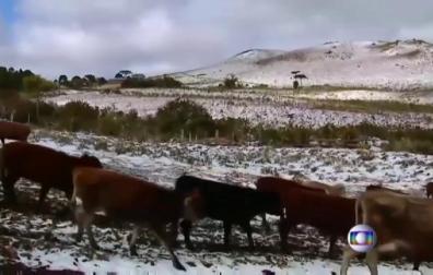 Una inusitada nevada cubre de blanco una treintena de municipalidades del estado brasileño de Rio do Sul