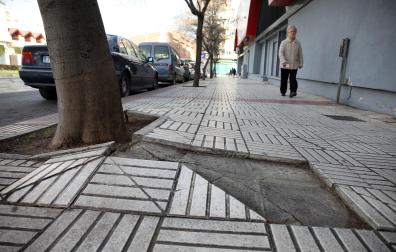 No son pocas las veces que las raíces de los árboles dañan algunas de las baldosas adyacentes