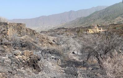El incendio de El Paso, en la isla canaria de La Palma, ya se ha controlado pero ha quemado 300 hectáreas y decenas de viviendas