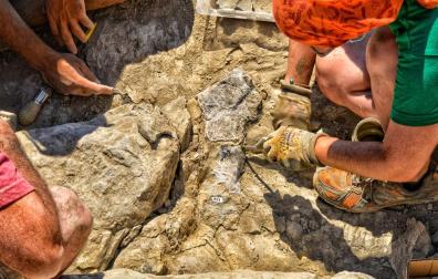 Los últimos hallazgos en el paraje de "Peña Cárcena", en Igea, (La Rioja), constituyen "un éxito" para el campo de la paleontología mundial