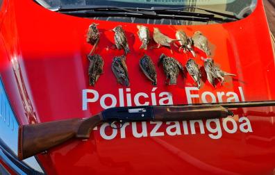 Arma y piezas abatidas incautadas por los agentes de la Policía Foral