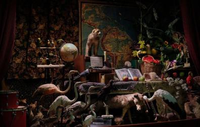 Fotograma de Love Needs Time to Kill, la película de Txupo Poyo sobre los gabinetes de Ciencias Naturale