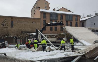 Carpa hundida por el peso de la nieve en Villava