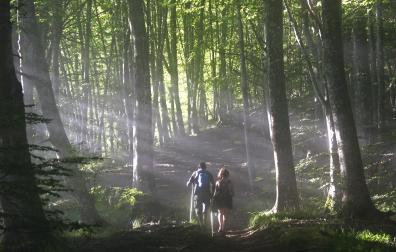 Dos senderistas, atravesando una zona boscosa en Urbasa