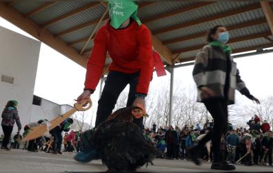 El joven Eñaut Oteiza Larre alcanza al gallo con su espada de madera en el turno que por su edad escolar le tocó en suerte este jueves por la tarde en Elizondo