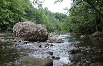Imagen del río Bidasoa, al que desembocan regatas que abastecen la central eléctrica de Arantza


ZEC del río Bidasoa.