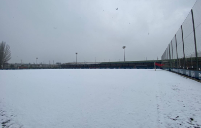 Tajonar bajo la nieve