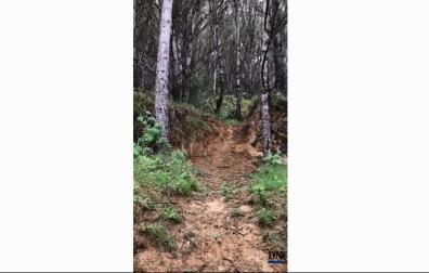 Cable de alambre atado a dos árboles en las faldas de Monjardín