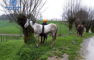 El peregrino con su caballo