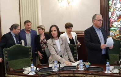 Enrique Maya entra al salón de plenos junto a sus compañeros de NA+