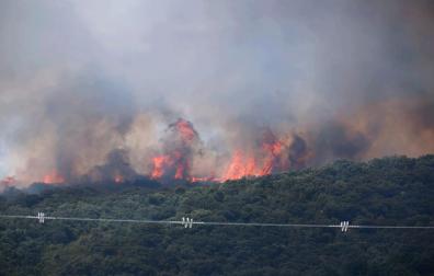 Imágenes del incendio en la Sierra de Leyre este miércoles, 15 de junio, con el fuego reactivado por el viento
