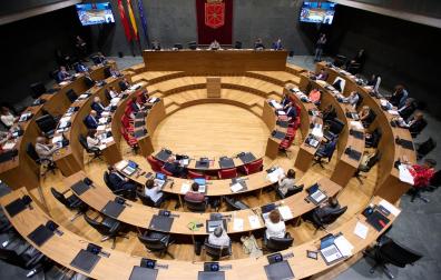 Pleno del Parlamento de Navarra de este jueves