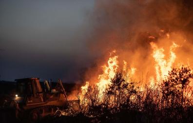 Incendio de Losacio (Zamora)