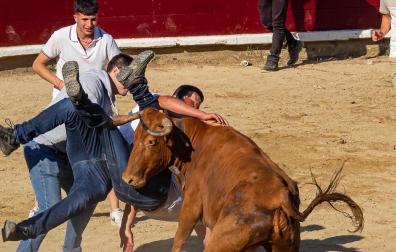 Fiesta de las vaquillas este sábado en Estella