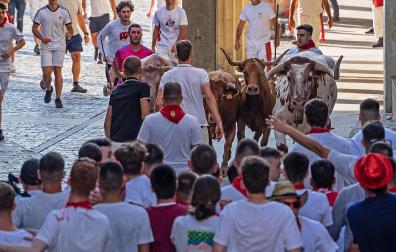 La manada encara la plaza de Santiago en un encierro de las fiestaa de Estella 2022