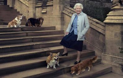 La reina, posando en 2016 con sus perros en una de las escaleras del castillo de Windsor