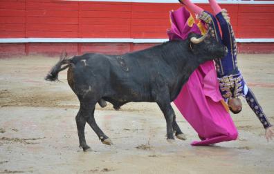 Peligrosa voltereta la que sufrió Fernández de la Puebla sin consecuencias al comienzo del festejo
